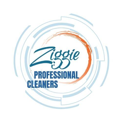 TeamZiggie